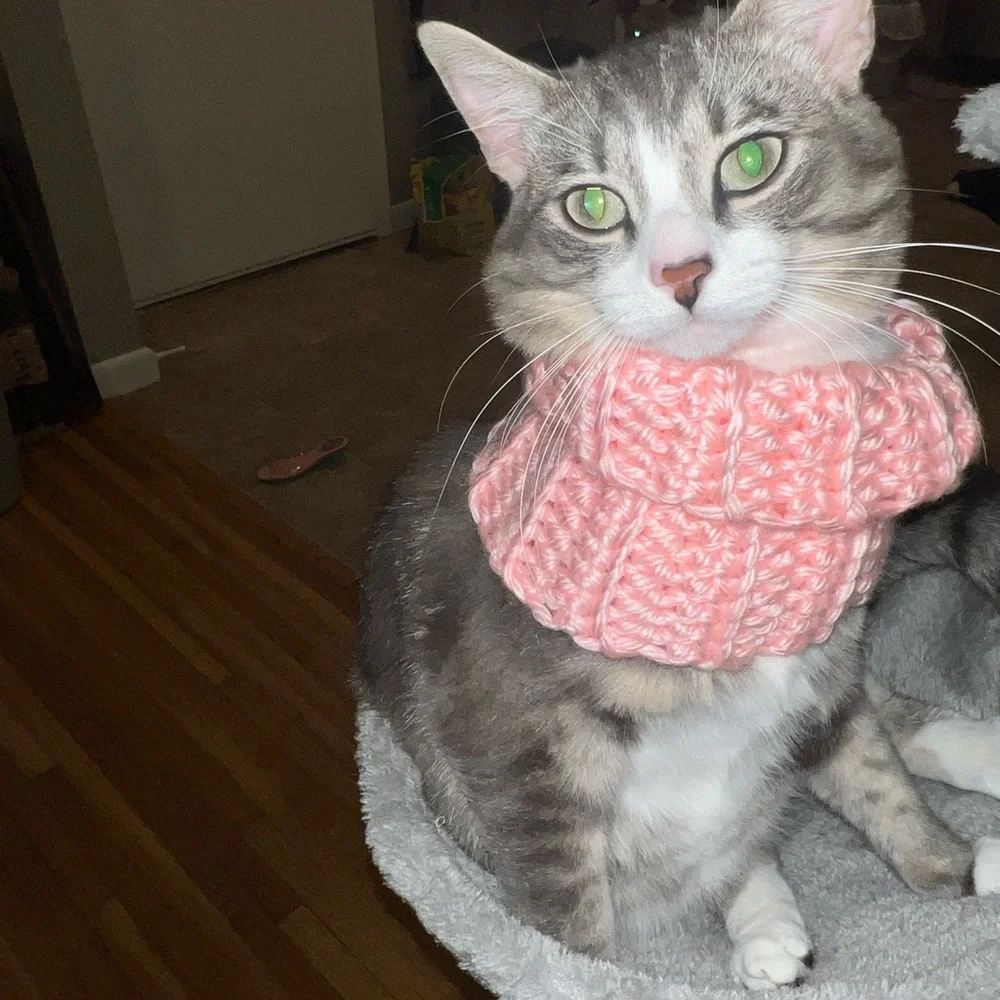 Homemade crochet cat neck warmer very Comy yarn